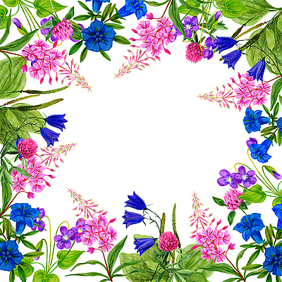 포토 JPG 해외이미지 식물 디자인 꽃 분홍색 결혼 백그라운드 잎 꽃무늬 밭 일러스트 프레임 사람없음 장식 파란색 컬러풀 정원 봄 수확 벚꽃 나뭇가지 인사 신용카드 그리기 모서리 숲 그림 정사각형 초대 내추럴 고립 비올라 엘리먼트 캄파눌라 국경 해외202310 해외일러스트 도형 나무 계절 컬러 무늬 농업 모션 이벤트 금융 예절 파일형식 찰현악기