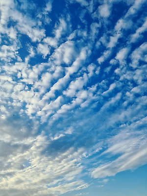 포토 JPG 해외이미지 구름 컬러 백그라운드 자연 하늘 아침 날씨 파노라마 풍경 사람없음 야외 여름 파란색 빛 햇빛 태양 뷰티 우주 환경 맑음 새벽 흰색 신선 분위기 저녁 장면 천국 솜털 내추럴 오존 수평선 해외202310 해외포토 주간 자연요소 계절 컨셉 촬영기법 야간 생태계 파일형식