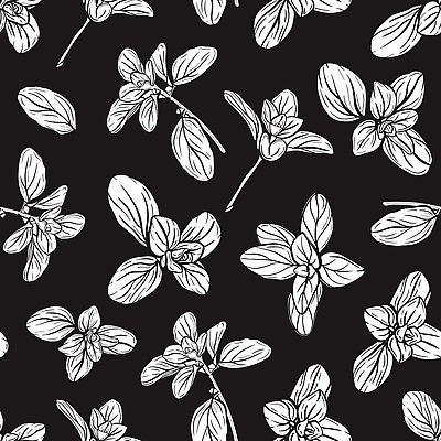 EPS 해외이미지 식물 음식 잎 패턴 농업 채소 일러스트 재료 흑백 요리 주방 정원 이탈리아 샐러드 나뭇가지 직물 신선 양념 맛 스케치 다발 허브 향신료 그림 유기농 질감 매움 향기 윤곽 아로마 손그림 향료 향 바질 고립 오레가노 채식주의자 벡터 그리너리 비건 해외202310 해외일러스트 나무 웰빙 유럽 산업 컨셉 무늬 촬영기법 미술 채식 냄새 향미료 파일형식 트랜드컬러