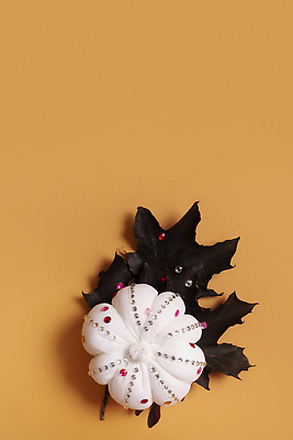 포토 JPG 해외이미지 식물 디자인 계절 백그라운드 컨셉 잎 꽃무늬 오렌지 자연 호박 사람없음 장식 세로 빛 컬러풀 뷰티 유행 할로윈 수확 가을 흰색 신선 플랫 추수감사절 항공촬영 핸드메이드 플랫레이 카피스페이스 미니멀리스트 미니멀 해외202310 해외포토 꽃 기독교 뷰포인트 컬러 무늬 농업 채소 과일 공백 생태계 파일형식