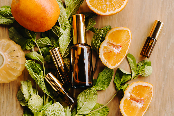 포토 JPG 해외이미지 조각 오렌지 단면 유리병 사람없음 민트 감성 공병 에센스 나무배경 해외202310 해외포토 백그라운드 컨셉 과일 병_용기 화장품 허브 병_담는 파일형식