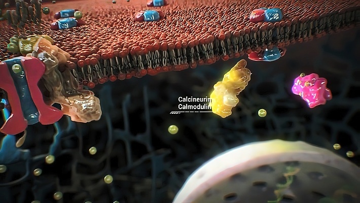 포토 JPG 해외이미지 과학 신체 일러스트 세포 건강 사람없음 치료 약 환자 성장 죽음 조직 질병 위험 가슴 피부 척추 예방 분열 암 외과 테라피 덩어리 췌장 방사선 종양 해외202310 해외포토 컨셉 의학 뼈 병원 신체부위 뷰티 장기_의학 파일형식