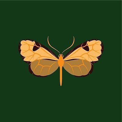 EPS 해외이미지 동물 꽃 종이 나비 곤충 꽃무늬 일러스트 자연 추상 장식 초록색 세트 컬러풀 뷰티 봄 벚꽃 수집 그림 내추럴 고립 스타일 많음 해외202310 해외일러스트 식물 계절 컬러 컨셉 무늬 생태계 파일형식 벡터