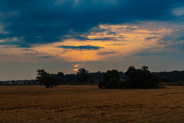 포토 JPG 해외이미지 나무 구름 계절 공원 유럽 도로 길 섬 여행 밭 자연 하늘 풍경 사람없음 야외 초록색 물 여름 파란색 빛 강 태양 뷰티 반사 일출 환경 침묵 숲 장노출 폴란드 내추럴 브로츠와프 해외202310 해외포토 자연요소 식물 공공시설 나라 컬러 농업 교통시설 촬영기법 노을 소리 생태계 파일형식