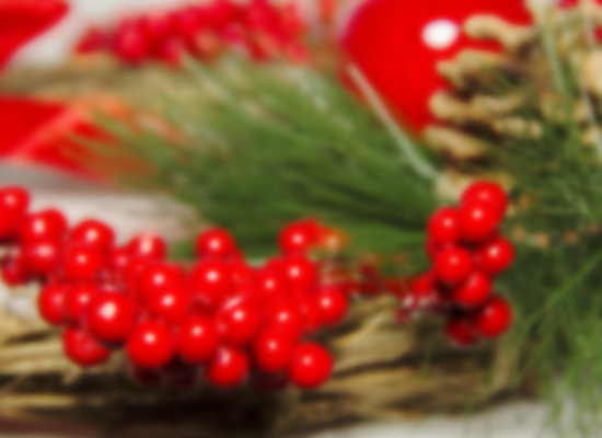 포토 JPG 해외이미지 나무 디자인 계절 열매 리본 문화 컬러 백그라운드 잎 크리스마스 겨울 패턴 과일 부분 자연 휴가 프레임 선물 사람 사람없음 목재 장식 빨간색 초록색 문 우주 화환 금지 흰색 나뭇가지 시골 축하 인사 소나무 화려 12월 심볼 복고 상록수 전나무 원뿔 고립 벡터 방식 해외202310 해외포토 도형 식물 기념일 꽃 컨셉 무늬 재료 예절 날짜 생태계 파일형식