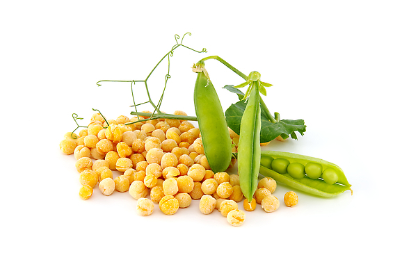 포토 JPG 해외이미지 식물 음식 백그라운드 잎 농업 다이어트 채소 재료 자연 콩 건조 건강 씨앗 사람없음 목재 초록색 농작물 쌓기 식사 수확 흰색 신선 그룹 달콤 낟알 오브젝트 유기농 완두콩 날것 흘림 흙더미 내추럴 고립 꼬투리 숙성 채식주의자 해외202310 해외포토 나무 웰빙 산업 컬러 모션 곡류 흙 맛 생태계 채식 파일형식 더미