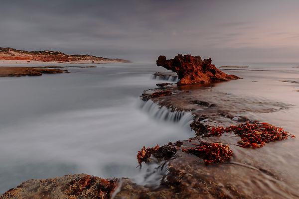 포토 JPG 해외이미지 구름 모래 파도 바다 상징 여행 조류 풍경 사람없음 파란색 침묵 일몰 산책 전원 만 거친 서핑 호주 폭풍 멜버른 호밀 해외202310 해외포토 자연요소 동물 컬러 날씨 휴식 곡류 노을 소리 수상스포츠 오세아니아 전기에너지 파일형식