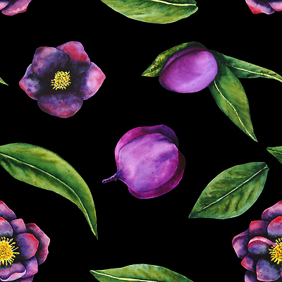 포토 JPG 해외이미지 식물 디자인 꽃잎 꽃 종이 백그라운드 잎 꽃무늬 패턴 일러스트 자연 벽지 추상 미술 사람없음 그래픽 장식 정원 보라색 검은색 봄 수확 벚꽃 직물 신용카드 개화 스케치 그림 질감 손그림 자두 내추럴 고립 엘리먼트 해외202310 해외일러스트 계절 컬러 무늬 농업 과일 문화예술 금융 생태계 파일형식