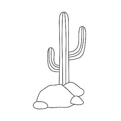 EPS 해외이미지 식물 선 일러스트 자연 선인장 검은색 미국 사막 흰색 낙서 스케치 심볼 그림 윤곽 페이지 애리조나 고립 서쪽 얇은 벡터 해외202310 해외일러스트 컬러 북아메리카 미술 방향 생태계 파일형식
