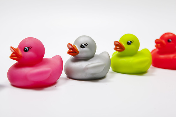 포토 JPG 해외이미지 오리 사람없음 컬러풀 미니어처 오리장난감 해외202310 해외포토 컬러 조류 장난감 모형 파일형식