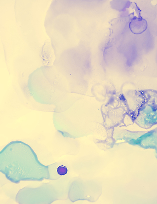 포토 JPG 해외이미지 템플릿 디자인 파도 분홍색 컬러 결혼 백그라운드 패턴 벽지 추상 수채화 잉크 경사 사람없음 노란색 유행 페인트 활발 흐름 붓 얼룩 신용카드 액체 팔레트 떨어짐 그림 유기농 질감 역동적 초대 대리석 부드러움 페이지 오리지널 유니콘 파스텔톤 홀로그램 유체 해외202310 해외포토 웰빙 바다 컨셉 무늬 재료 이벤트 금융 감각 파일형식