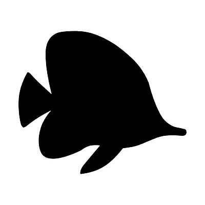 EPS 해외이미지 모양 동물 디자인 실루엣 야생동물 바다 나비 백그라운드 일러스트 자연 동물원 어류 미술 그래픽 물 반려동물 픽토그램 검은색 수중 수영 광대 흰색 산호 작음 심볼 해산물 오브젝트 사인 암초 수족관 어장 대서양 내추럴 고립 동물상 엘리먼트 이국적 벡터 해외202310 해외일러스트 자연요소 컬러 곤충 문화예술 촬영기법 조형물 수중동물 수상스포츠 자포동물 크기 생태계 파일형식