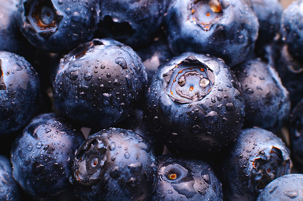 포토 JPG 해외이미지 열매 음식 백그라운드 패턴 다이어트 과일 재료 자연 디저트 건강 사람없음 물 파란색 농작물 쌓기 젖음 수확 물방울 신선 원형 그룹 달콤 소프트포커스 유기농 질감 블루베리 날것 비타민 흙더미 제비 숙성 채식주의자 많음 해외202310 해외포토 자연요소 도형 식물 웰빙 컬러 컨셉 무늬 농업 모션 조류 촬영기법 흙 맛 생태계 채식 영양소 파일형식 더미