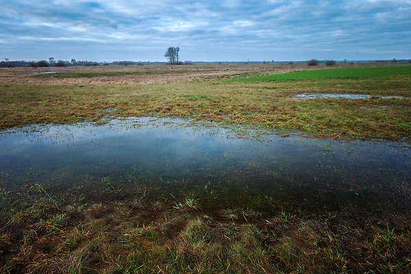 포토 JPG 해외이미지 나무 구름 계절 여행 백그라운드 밭 자연 하늘 날씨 풍경 사람없음 야외 초록색 물 농장 농경지 반사 환경 봄 하이킹 젖음 시골 변화 습지 땅 홍수 웅덩이 지역 흐림 내추럴 재앙 해외202310 해외포토 자연요소 식물 컬러 컨셉 농업 레저 자연재해 생태계 파일형식
