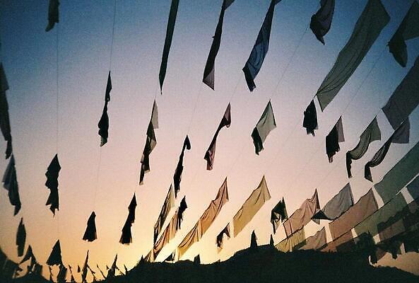 포토 JPG 해외이미지 나무 디자인 잎 패턴 일러스트 건축양식 하늘 그림자 미술 사람없음 세계 반사 해외202310 해외포토 식물 건축 무늬 문화예술 파일형식