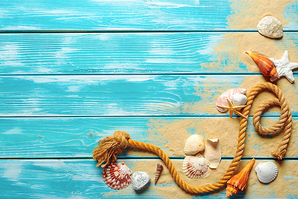 포토 JPG 해외이미지 밧줄 모래 불가사리 사람없음 파란색 조개껍데기 카피스페이스 나무배경 해외202310 해외포토 줄 컬러 백그라운드 조개 극피동물 공백 파일형식