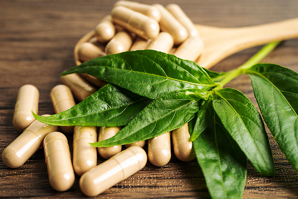 포토 JPG 해외이미지 건강 사람없음 알약 약 숟가락 허브 유기농 나무배경 해외202310 해외포토 식물 웰빙 백그라운드 의학 수저 파일형식