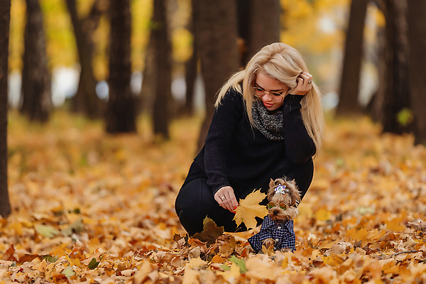 포토 JPG 해외이미지 나무 동물 모델 학생 라이프스타일 옷 공원 여자 행복 잎 겨울 포유류 자연 놀이 건강 사랑 한명 사람 야외 반려동물 뷰티 유행 걷기 우정 마음 신선 개 강아지 숲 요크셔테리어 테리어 테이크아웃 내추럴 밀레니얼 해외202310 해외포토 식물 1 계절 공공시설 감정 모션 생활 경제 친구 생태계 파일형식