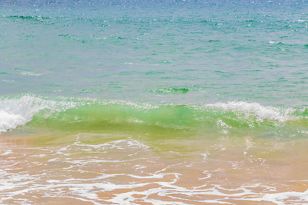 포토 JPG 해외이미지 아시아 모래 파도 바다 섬 여행 패턴 태국 자연 하늘 휴가 휴식 손바닥 동양인 풍경 해변 사람없음 야외 물 여름 파란색 뷰티 맑음 동남아시아 만 떨어짐 웨이브 터키석 파라다이스 푸켓 해외202310 해외포토 자연요소 손 계절 나라 컬러 컨셉 무늬 날씨 인종 보석 생태계 파일형식