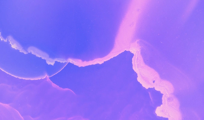 포토 JPG 해외이미지 템플릿 손 디자인 배너 포스터 종이 벽 파도 분홍색 컬러 백그라운드 패턴 일러스트 벽지 추상 수채화 잉크 미술 경사 사람없음 그래픽 물 파란색 빛 웹 페인트 흐름 덮개 붓 점 액체 떨어짐 기름 인쇄 시원함 실크 제비꽃 질감 네온 캔버스 대리석 아크릴 효과 유체 해외202310 해외일러스트 자연요소 꽃 음식 바다 컨셉 무늬 인터넷 재료 재질 문화예술 신체부위 뚜껑 직물 파일형식