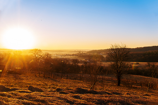 포토 JPG 해외이미지 나무 계절 공원 유럽 컬러 여행 백그라운드 밭 오렌지 자연 하늘 아침 산 파노라마 풍경 사람없음 야외 파란색 빛 울타리 햇빛 태양 뷰티 노란색 마을 일출 환경 맑음 일몰 새벽 활발 가을 시골 황금 저녁 숲 내추럴 밭일 수평선 해외202310 해외포토 주간 자연요소 식물 공공시설 나라 컨셉 농업 과일 날씨 촬영기법 담장 노을 야간 생태계 파일형식
