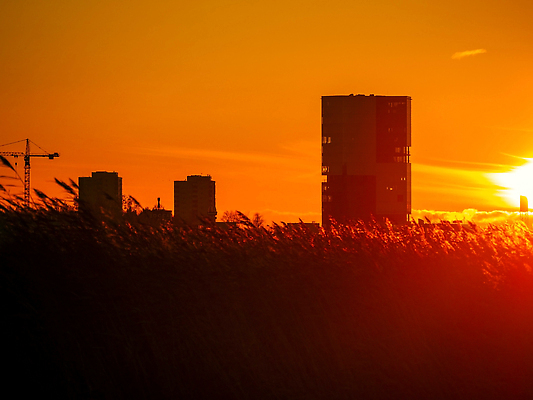 포토 JPG 해외이미지 남자 실루엣 분홍색 컬러 과학 항해 건강 사람없음 그래픽 가로 햇빛 노란색 평화 우주 희망 새벽 별자리 기쁨 광선 달 표현 춤 그룹 황금 떨어짐 군중 신비 달빛 명상 코스모스 은하계 해군 공상 천문학 마법 스카이라인 네비게이션 성운 광 넘어짐 해외202310 해외포토 자연요소 교육 꽃 감정 컨셉 배_교통 모션 문화예술 군대 촬영기법 사람 태양 파일형식