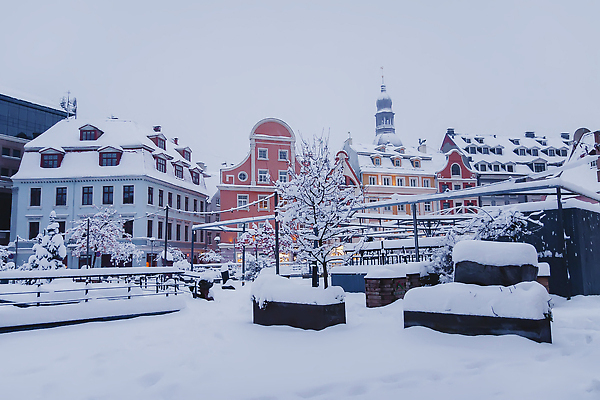 포토 JPG 해외이미지 나무 외관 유럽 시계 여행 크리스마스 겨울 건축양식 휴가 벽돌 조명 거리 주택 사람없음 건물 장식 빛 성당 교회 탑 축하 도시 화려 센터 중세 역사 시장 야간 12월 타운 첨탑 전나무 빛망울 고딕 라트비아 랜드마크 리가 수도권 옛날 해외202310 해외포토 자연요소 식물 건축물 계절 기념일 건축 나라 컨셉 종교건축 북유럽 날짜 지역 파일형식