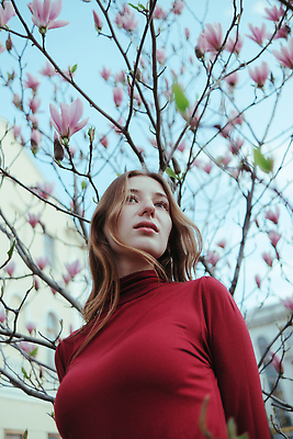 포토 JPG 해외이미지 나무 식물 라이프스타일 긴머리 드레스 공원 여자 꽃 분홍색 백그라운드 자연 한명 야외 빨간색 초록색 금발 태양 뷰티 맑음 봄 벚꽃 표현 신선 냄새 아로마테라피 목련 우크라이나 펠트 스타일 해외202310 해외포토 자연요소 1 헤어스타일 옷 계절 공공시설 유럽 컬러 날씨 사람 생활 생태계 테라피 파일형식 천_직물