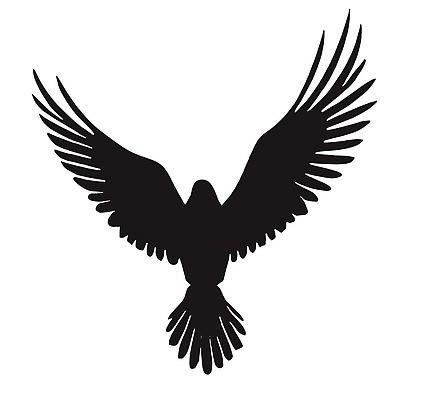 EPS 해외이미지 동물 디자인 실루엣 야생동물 바다 여행 백그라운드 날개 일러스트 자연 갈매기 조류 하늘 항해 미술 그래픽 물 파란색 세트 뷰티 검은색 자유 흰색 비행 그룹 수집 깃털 그림 부리 윤곽 내추럴 고립 무료 엘리먼트 벡터 해외202310 해외일러스트 자연요소 컬러 컨셉 배_교통 문화예술 촬영기법 생태계 파일형식