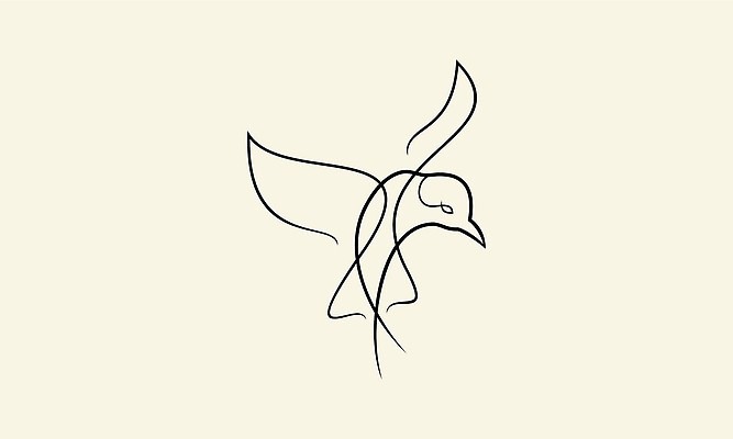 EPS 해외이미지 한마리 디자인 선 일러스트 사람없음 심볼 라인아트 그림 까치 해외202310 해외일러스트 1 조류 파일형식 벡터