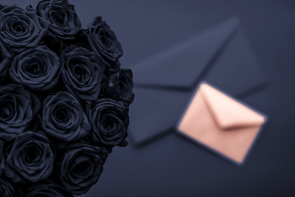 포토 JPG 해외이미지 꽃다발 백그라운드 편지봉투 발렌타인데이 사람없음 장미 남색 러브레터 해외포토 꽃 컬러 데이이벤트 봉투 편지 파일형식