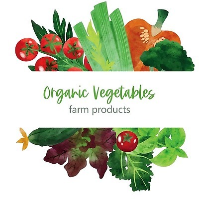 EPS 해외이미지 잎 일러스트 방울토마토 오이 사람없음 상추 브로콜리 유기농 손그림 샐러리 비건 해외202310 해외일러스트 식물 웰빙 토마토 채소 채식주의자 파일형식 벡터