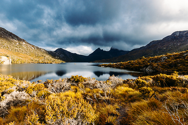 포토 JPG 해외이미지 나무 식물 구름 공원 호수 여행 자연 하늘 휴식 산 이끼 풍경 사람없음 야외 물 빛 뷰티 반사 여행객 일출 맑음 침묵 황혼 일몰 하이킹 추위 황무지 호주 숲 언덕 그림 폭풍 헛간 내추럴 랜드마크 해외202310 해외포토 자연요소 공공시설 컨셉 레저 날씨 사람 노을 소리 오세아니아 생태계 저장고 파일형식