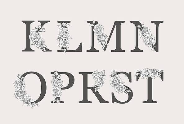 EPS 해외이미지 식물 디자인 알파벳 꽃 결혼 백그라운드 잎 꽃무늬 일러스트 캘리그라피 자연 타이포그라피 그래픽 장식 책 여름 장미 봄 수확 흰색 나뭇가지 생일 스케치 편지 수집 심볼 복고 손그림 레터링 벡터 모노그램 국경 해외202310 해외일러스트 나무 문자 영어 계절 기념일 컬러 무늬 농업 미술 이벤트 생태계 파일형식