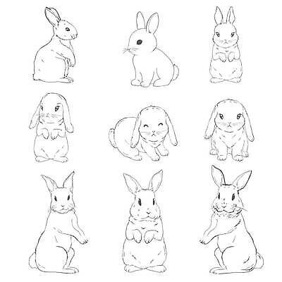 EPS 해외이미지 동물 캐릭터 손 디자인 행복 야생동물 일러스트 포유류 자연 휴가 부활절 잉크 털 미술 그래픽 장식 반려동물 뷰티 농장 머리 검은색 봄 낭만 수확 흰색 아기 토끼 인사 그리기 낙서 만화 스케치 심볼 그림 복고 윤곽 귀 판화 고립 동물상 엘리먼트 스타일 벡터 해외202310 해외일러스트 일러캐릭터 계절 기념일 감정 컬러 컨셉 농업 모션 문화예술 사람 신체부위 조형물 예절 생태계 파일형식