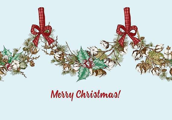 EPS 해외이미지 열매 리본 크리스마스 겨울 일러스트 사람없음 장식 목화꽃 해외202310 해외일러스트 식물 계절 기념일 꽃 파일형식 벡터