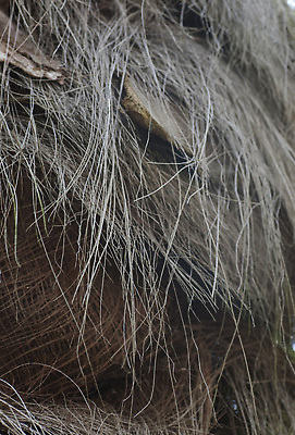 포토 JPG 해외이미지 선 패턴 지붕 사람없음 질감 서식 볏집 해외202310 해외포토 무늬 파일형식