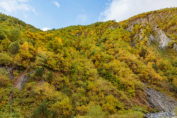 포토 JPG 해외이미지 구름 계절 여행 잎 자연 하늘 산 파노라마 풍경 사람없음 야외 초록색 여름 관광지 햇빛 태양 뷰티 골짜기 보라색 고요 일몰 정상 언덕 산봉우리 산맥 해외202310 해외포토 자연요소 식물 컬러 촬영기법 노을 생태계 봉우리 파일형식