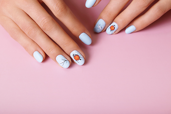 포토 JPG 해외이미지 직업 라이프스타일 손 디자인 여자 컬러 백그라운드 크리스마스 겨울 손가락 새로움 따뜻함 관리 미술 사람없음 파란색 뷰티 유행 상점 추위 흰색 못 우아함 손톱관리 손톱 연도 그림 광택 돌봄 자외선 스타일 해외202310 해외포토 계절 기념일 컨셉 모션 문화예술 사람 생활 신체부위 공구 네일아트 파일형식