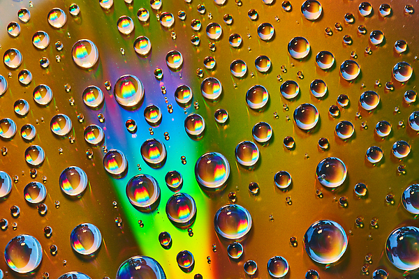 포토 JPG 해외이미지 무지개 사람없음 물방울 화려 질감 해외202310 해외포토 자연요소 컨셉 파일형식