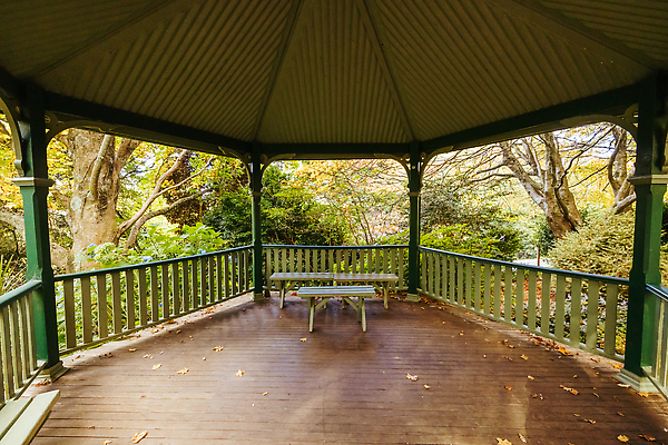 포토 JPG 해외이미지 나무 식물 계절 공원 문화 여행 잎 오렌지 자연 추상 휴식 따뜻함 풍경 사람없음 야외 빛 컬러풀 뷰티 노란색 환경 정원 침묵 활발 가을 전원 시골 황금 호주 숲 장면 내추럴 멜버른 해외202310 해외포토 공공시설 컬러 컨셉 무늬 과일 소리 오세아니아 전기에너지 생태계 파일형식