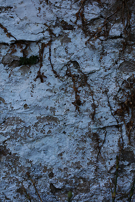 포토 JPG 해외이미지 나무 식물 디자인 아시아 종교 문화 지구 벽 여행 백그라운드 잎 패턴 불교 건축양식 자연 날씨 사람없음 건물 목재 장식 초록색 갈색 봄 수확 성장 흰색 시골 사찰 질감 뿌리 캄보디아 내추럴 랜드마크 숭배 옛날 파멸 해외202310 해외포토 건축물 계절 건축 나라 컬러 컨셉 무늬 농업 재료 종교건축 생태계 파일형식 소멸