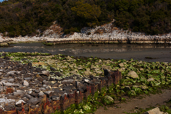 포토 JPG 해외이미지 나무 여행 자연 풍경 사람없음 야외 목재 초록색 물 강 뷰티 환경 이탈리아 나뭇가지 숲 사인 은행 생태계 운하 석호 세기 숭배 옛날 해외202310 해외포토 자연요소 식물 유럽 컬러 재료 모션 금융 파일형식