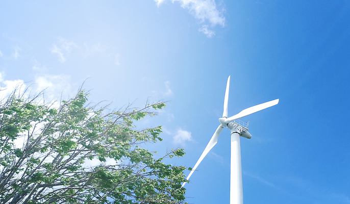포토 JPG 해외이미지 식물 산업 백그라운드 밭 비즈니스 태국 자연 하늘 바람 산 풍경 사람없음 초록색 여름 파란색 글로벌 농장 환경 탑 힘 재활용 풍차 발전기 에너지 칼날 역 보호 생태계 회전 자원 세대 유지 내추럴 방앗간 혁명 개발 생태학 해외202310 해외포토 자연요소 건축물 계절 교육 아시아 컬러 컨셉 농업 교통시설 날씨 발전소 친환경 파일형식