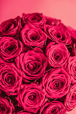 포토 JPG 해외이미지 분홍색 꽃다발 근접촬영 사람없음 장미 로맨틱 해외202310 해외포토 꽃 뷰포인트 컬러 컨셉 파일형식