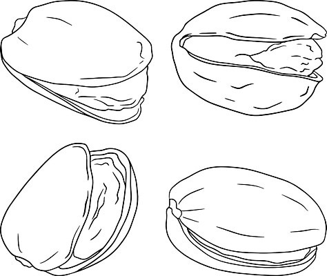 EPS 해외이미지 모양 식물 손 디자인 선 백그라운드 잎 다이어트 과일 일러스트 재료 자연 추상 건강 미술 씨앗 그래픽 장식 세트 연필 검은색 견과류 수확 낙서 스케치 수집 먹기 심볼 사인 그림 유기농 날것 내추럴 고립 엘리먼트 채식주의자 피스타치오 벡터 비건 해외202310 해외일러스트 웰빙 컬러 무늬 농업 모션 문화예술 학용품 신체부위 필기구 생태계 채식 파일형식