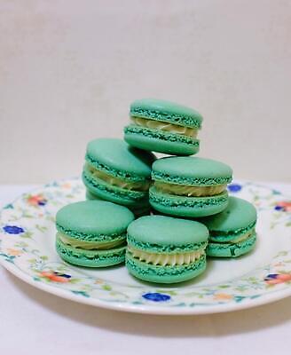 포토 JPG 해외이미지 접시 음식 디저트 요리 사람없음 초록색 케이크 얼음 달콤 마카롱 버터크림 해외202310 해외포토 자연요소 식기 컬러 맛 크림 파일형식