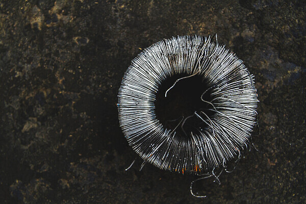 포토 JPG 해외이미지 디자인 산업 컨셉 돈 그래프 사람없음 빨간색 금융 금속 동전 힘 기계 장비 공구 업무 재산 코드 제조 주식 연결 가격 무역 순환 투자 롤 철사 실타래 이익 가치 공학 구리 놋쇠 설치 위기 공급 배선 해외202310 해외포토 교육 컬러 비즈니스 모션 재질 경제 한자 도구 작업 원소 파일형식