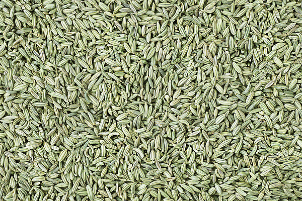 포토 JPG 해외이미지 음식 백그라운드 재료 요리 씨앗 사람없음 초록색 양념 맛 향신료 질감 회향 플랫레이 해외202310 해외포토 식물 컬러 컨셉 플랫 향미료 파일형식