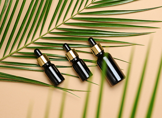 포토 JPG 해외이미지 사람없음 뷰티 화려 피부관리 아로마테라피 야자수잎 공병 에센스 해외202310 해외포토 컨셉 잎 화장품 테라피 병_담는 파일형식